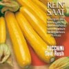Zucchini Gold Rush | BIO Zucchinisamen Von Reinsaat