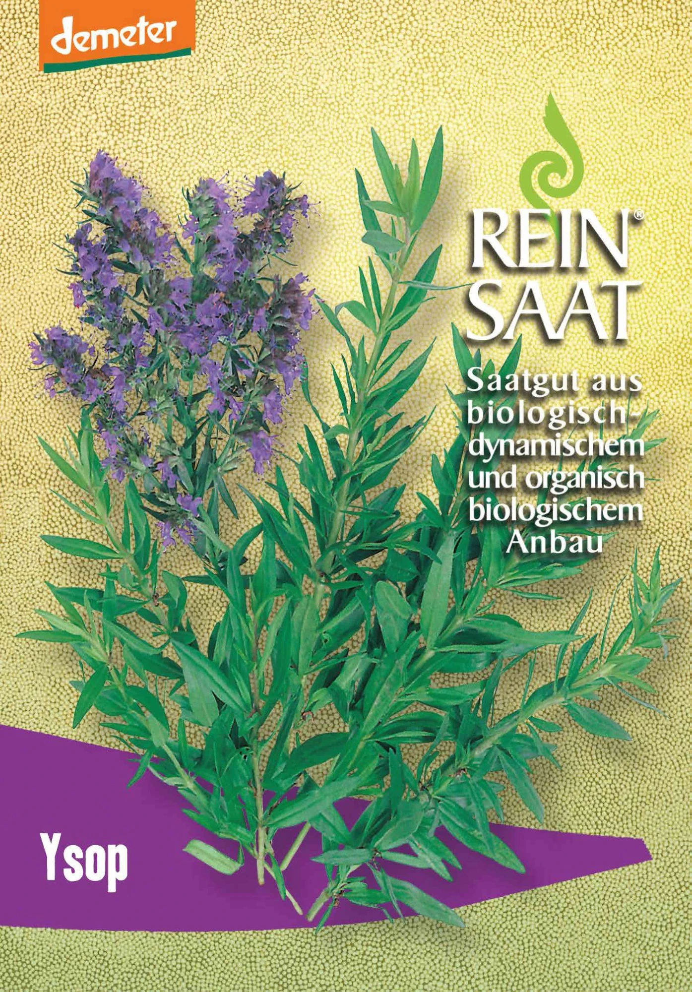 Ysop | BIO Kräutersamen Von Reinsaat 1 Ysop | BIO Kräutersamen Von Reinsaat