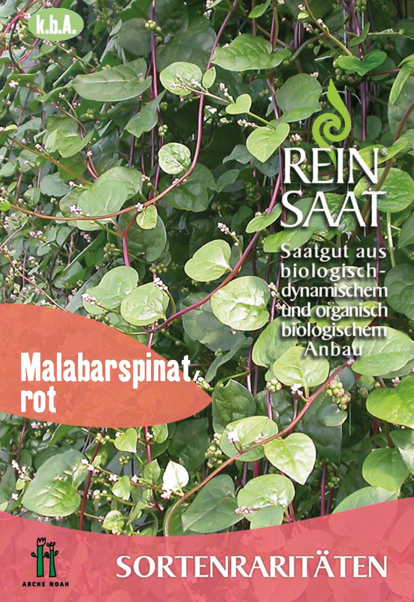 Malabarspinat | BIO Spinatsamen Von Reinsaat 1 Malabarspinat | BIO Spinatsamen Von Reinsaat