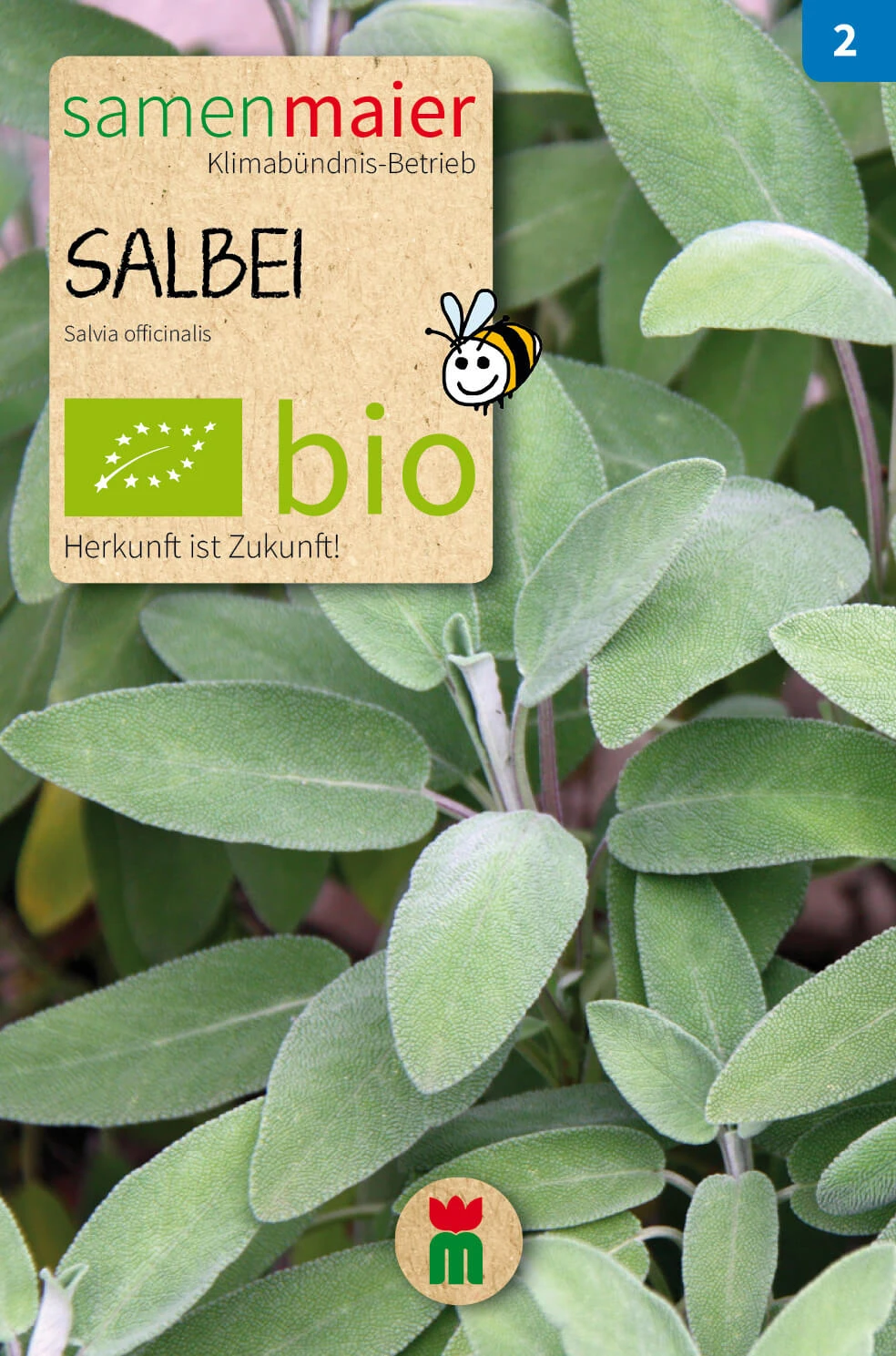Beet-Box "Für Hobby-Franzosen" | BIO Kräutersamen-Sets Von Samen Maier 1 Beet-Box "Für Hobby-Franzosen" | BIO Kräutersamen-Sets Von Samen Maier