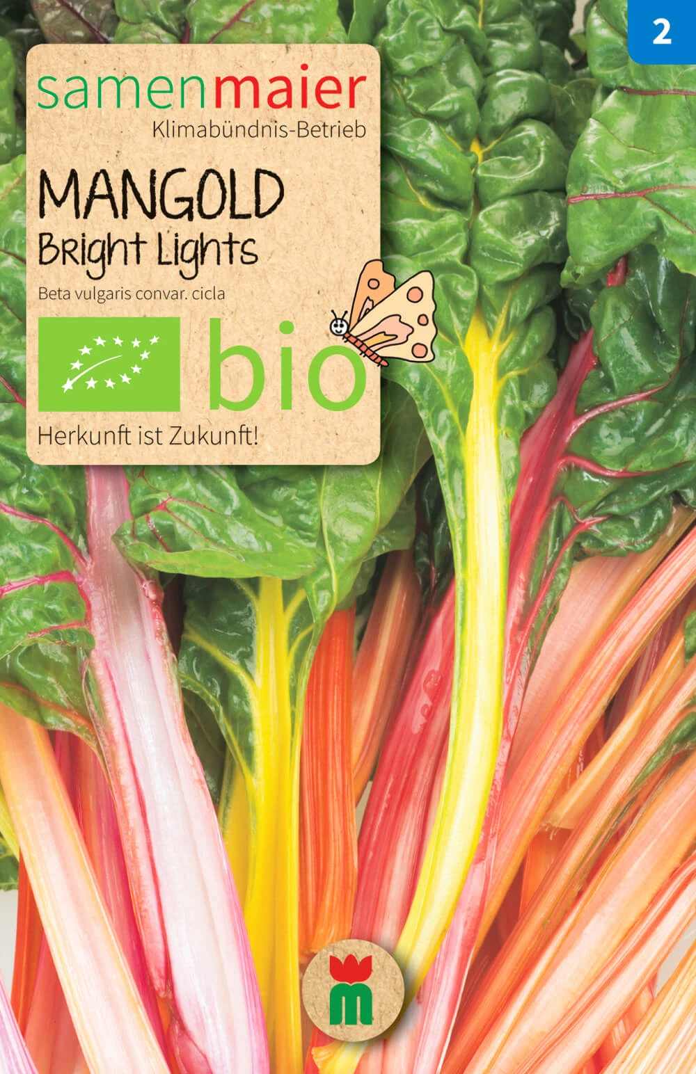 Beet-Box "Für Die Gartenfee" | BIO Gemüsesamen-Sets Von Samen Maier 2 Beet-Box "Für Die Gartenfee" | BIO Gemüsesamen-Sets Von Samen Maier – Bild 2