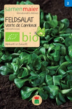 Beet-Box "Für Smoothie-Maker" | BIO Gemüsesamen-Sets Von Samen Maier 11 Beet-Box "Für Smoothie-Maker" | BIO Gemüsesamen-Sets Von Samen Maier -Angebote Pegasus Store 536710 BIO Beet Box Fuer Smoothie Maker BB12 sm 1