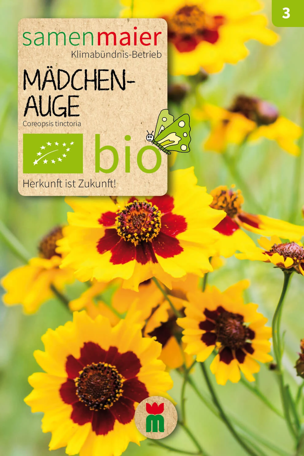 Beet-Box "Für Einen Blumengruß" | BIO Blumensamen-Sets Von Samen Maier 4 Beet-Box "Für Einen Blumengruß" | BIO Blumensamen-Sets Von Samen Maier – Bild 4