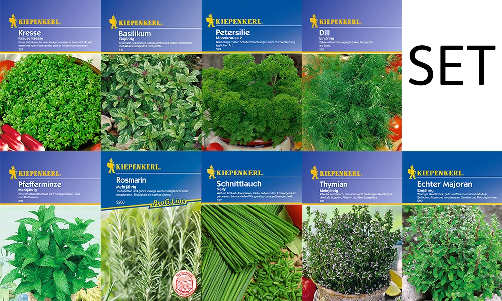 Kräuter - Saat - Sortiment Mit 9 Sorten | Kräutersamen-Sets Von Kiepenkerl 1 Kräuter - Saat - Sortiment Mit 9 Sorten | Kräutersamen-Sets Von Kiepenkerl