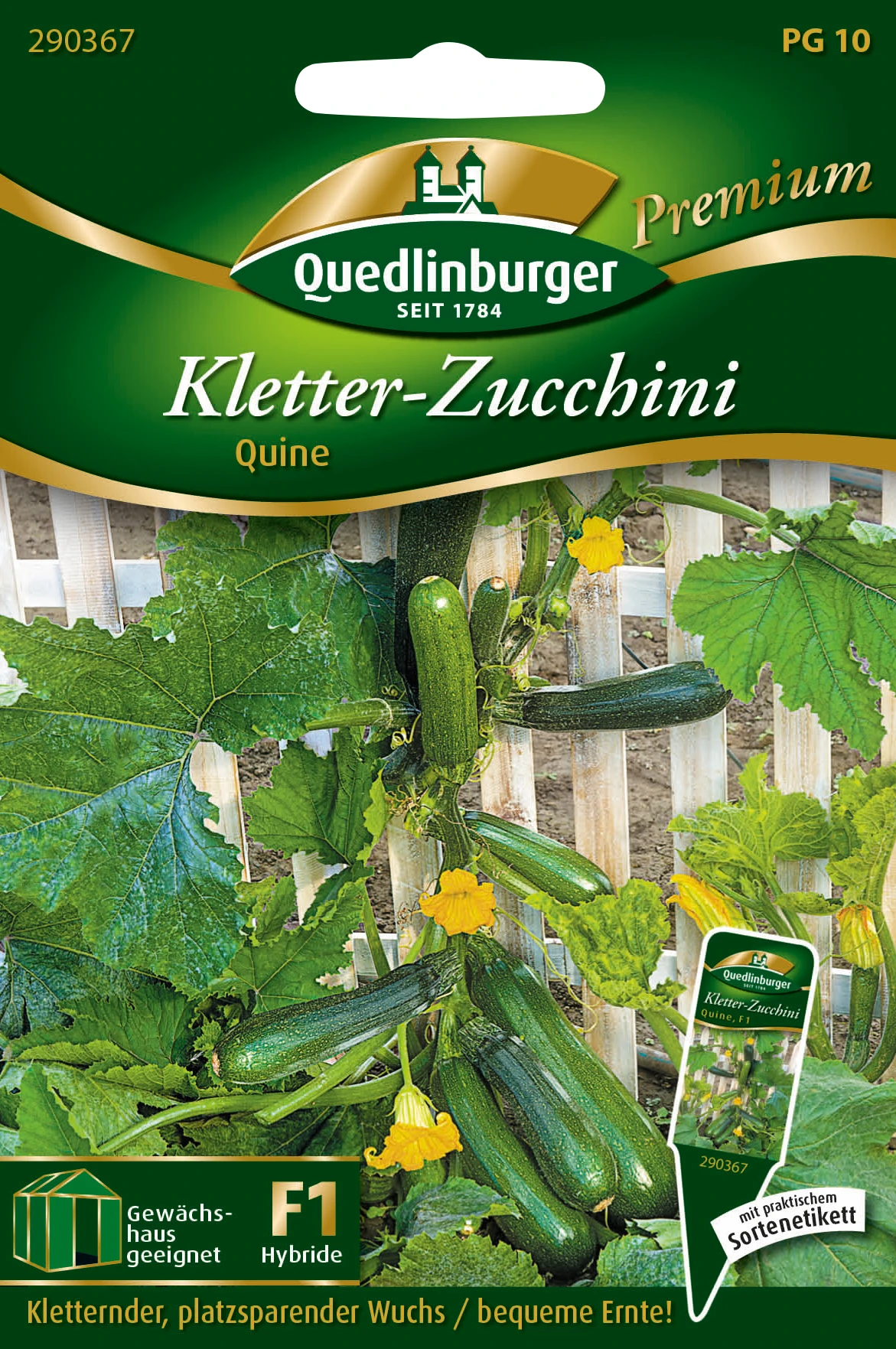Kletter-Zucchini Quine F1-Hybride | Zucchinisamen Von Quedlinburger 2 Kletter-Zucchini Quine F1-Hybride | Zucchinisamen Von Quedlinburger – Bild 2