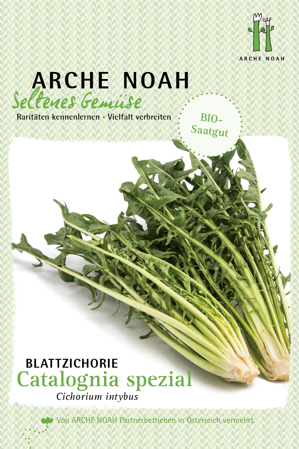 Blattzichorie Catalogna Spezial | BIO Blattzichoriesamen Von Arche Noah 1 Blattzichorie Catalogna Spezial | BIO Blattzichoriesamen Von Arche Noah
