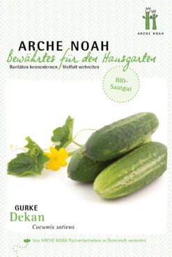 Einlegegurke Dekan | BIO Gurkensamen Von Arche Noah