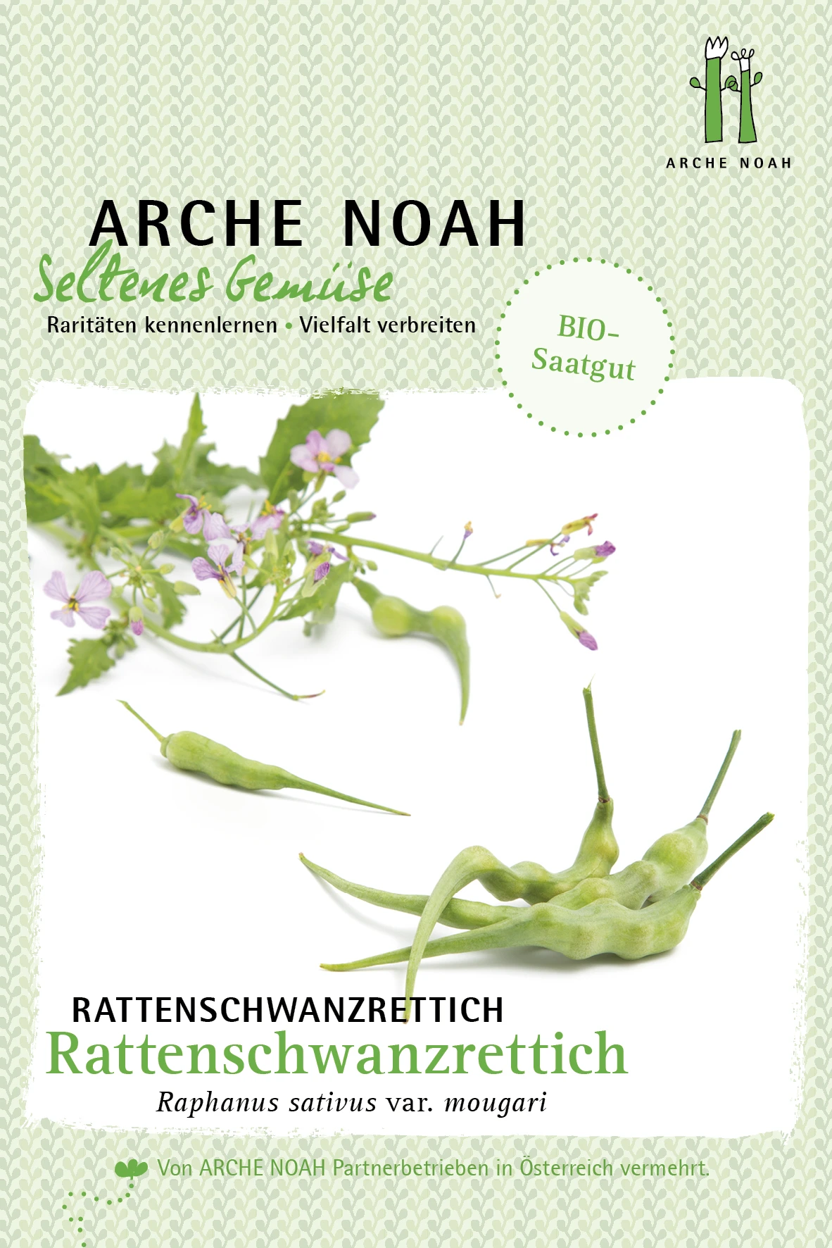 Rattenschwanzrettich | BIO Rettichsamen Von Arche Noah 1 Rattenschwanzrettich | BIO Rettichsamen Von Arche Noah