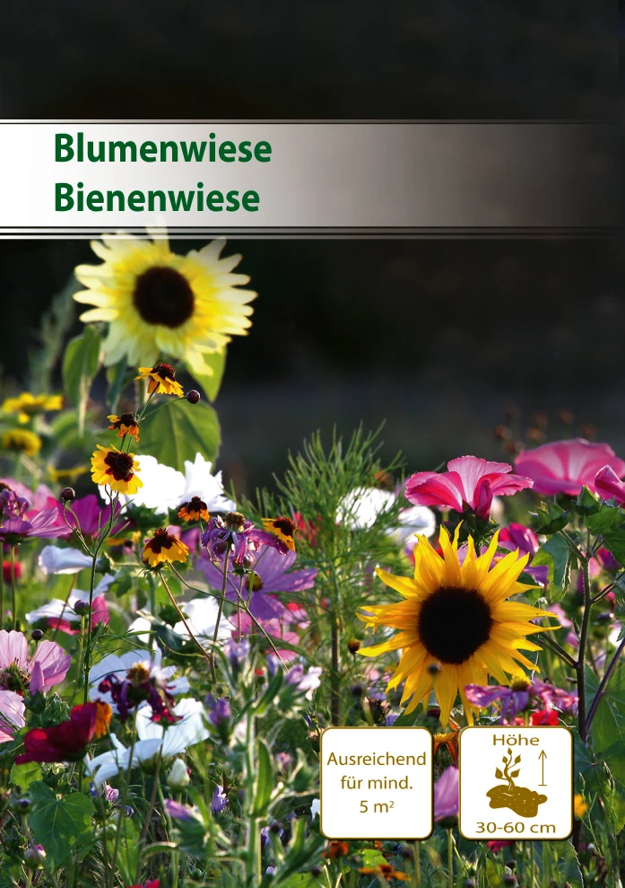 Bienenwiese 5 M² | Blumenmischung Von Küpper 1 Bienenwiese 5 M² | Blumenmischung Von Küpper