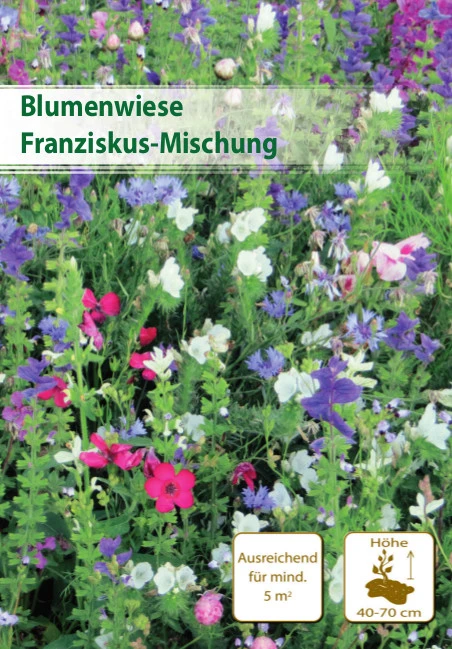 Franziskus Mischung 5 M² | Blumenmischung Von Küpper 1 Franziskus Mischung 5 M² | Blumenmischung Von Küpper