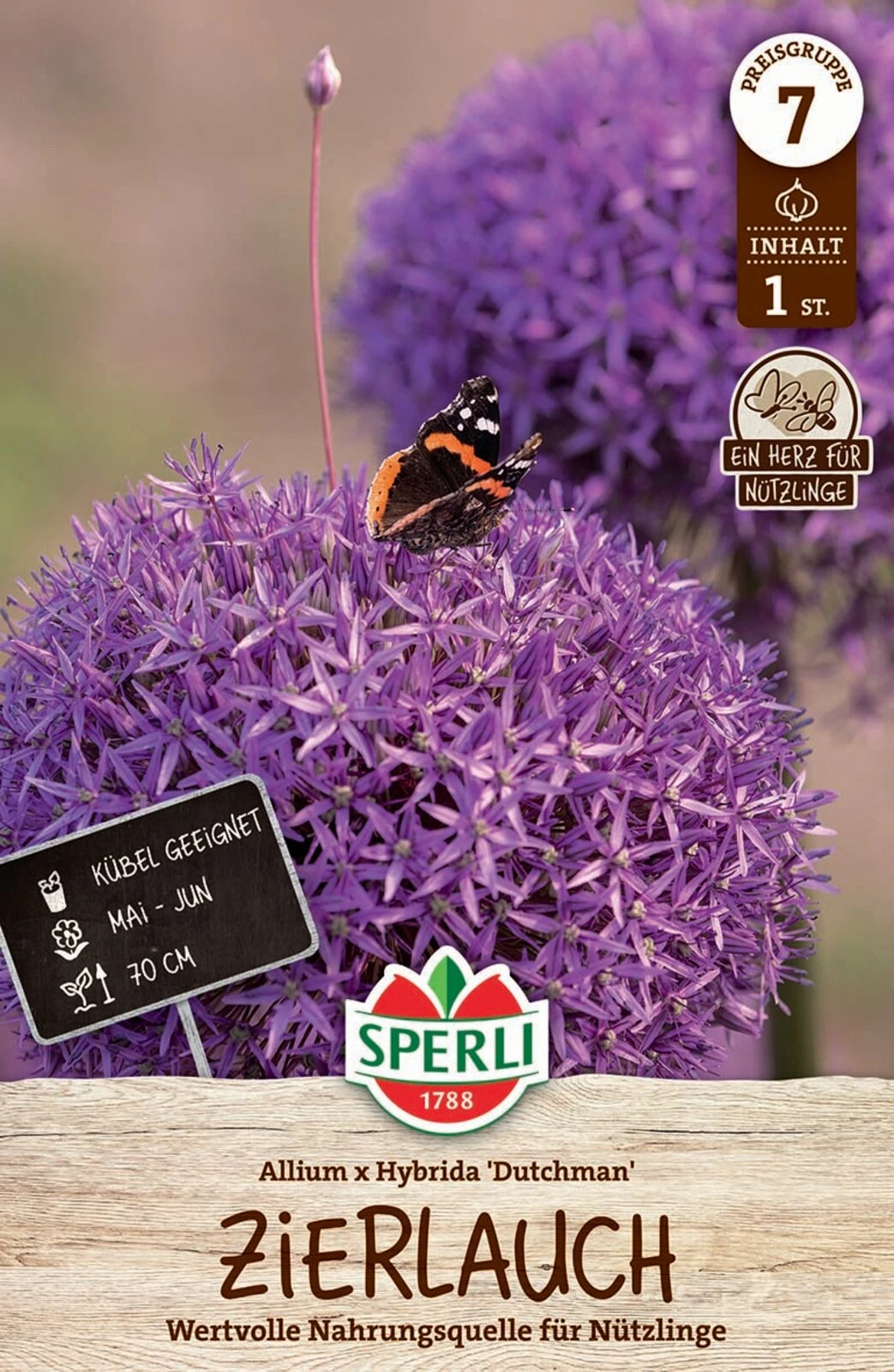 Zierlauch Dutchman (1 Stück) | Zierlauchzwiebeln Von Sperli 1 Zierlauch Dutchman (1 Stück) | Zierlauchzwiebeln Von Sperli