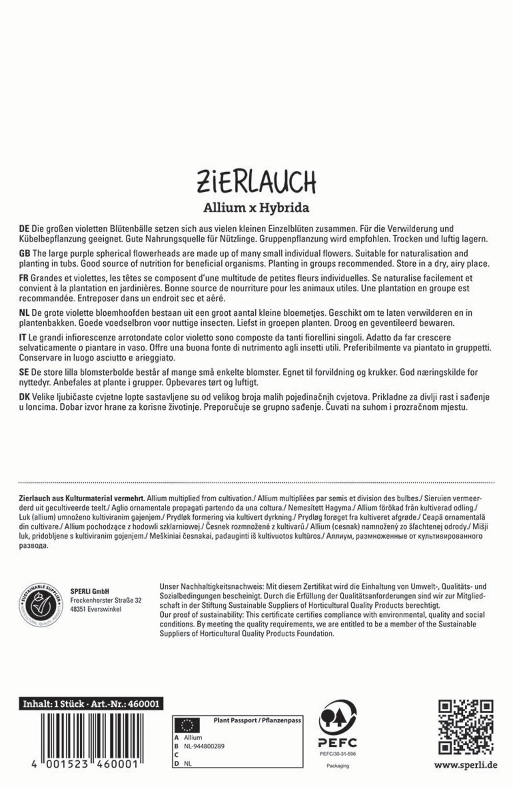 Zierlauch Dutchman (1 Stück) | Zierlauchzwiebeln Von Sperli 2 Zierlauch Dutchman (1 Stück) | Zierlauchzwiebeln Von Sperli – Bild 2