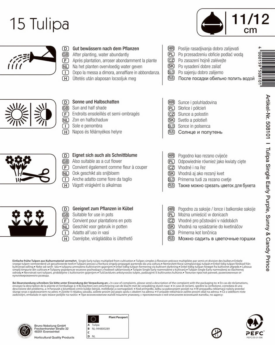Mega-Pack Einfache Frühe Tulpe Princen Mischung (15 Stück) | Tulpenzwiebeln Von Kiepenkerl 2 Mega-Pack Einfache Frühe Tulpe Princen Mischung (15 Stück) | Tulpenzwiebeln Von Kiepenkerl – Bild 2