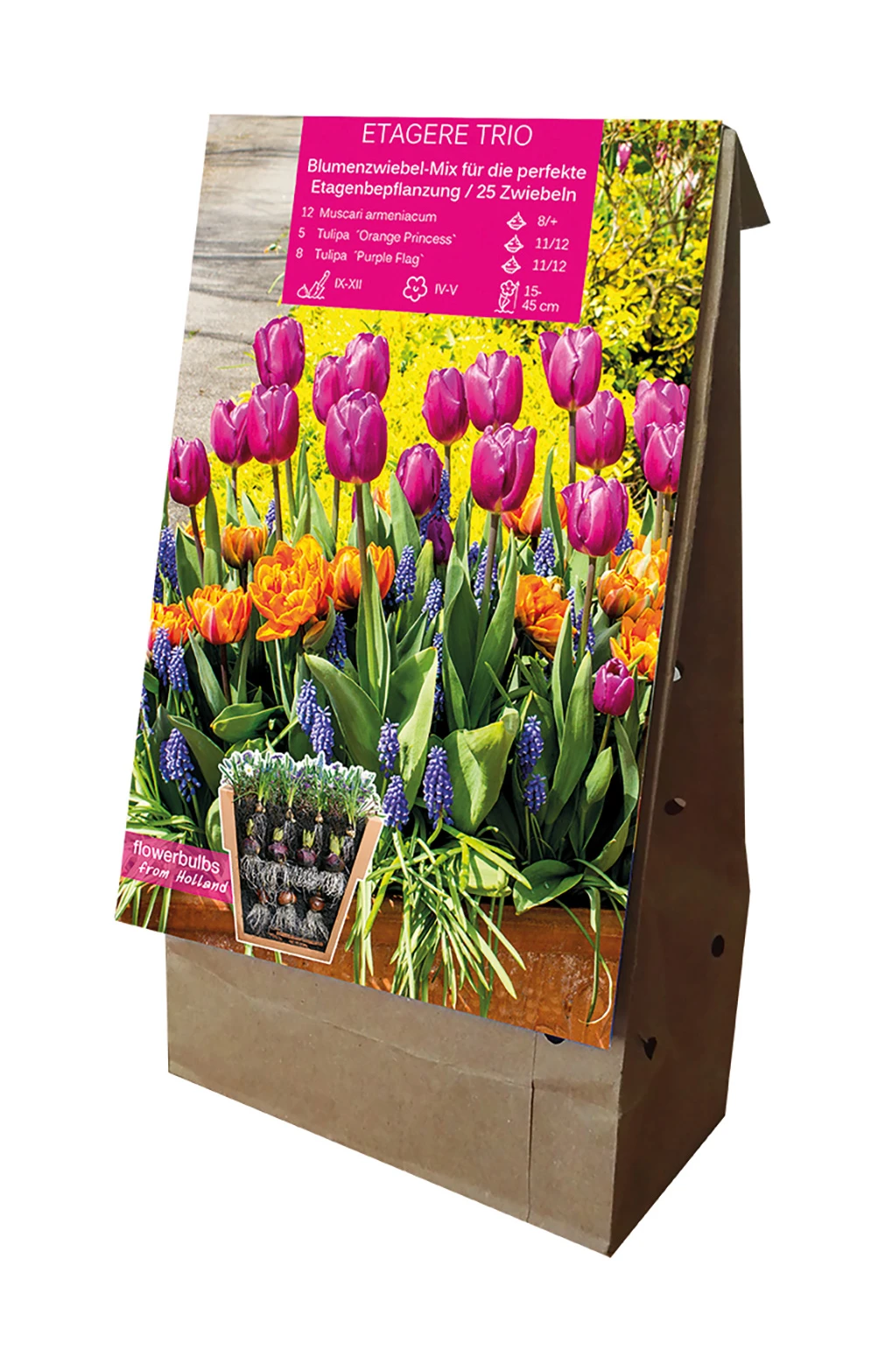 Etagere Trio (25 Stück) | Blumenzwiebelmischungen Von Young Generation 2 Etagere Trio (25 Stück) | Blumenzwiebelmischungen Von Young Generation – Bild 2