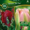 Combipack Tulpenmix "Rote Töne" Rococo &amp; Groenland (5 Stück) | Tulpenzwiebeln Von Quedlinburger