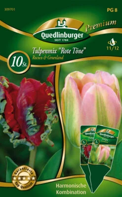 Combipack Tulpenmix "Rote Töne" Rococo & Groenland (5 Stück) | Tulpenzwiebeln Von Quedlinburger