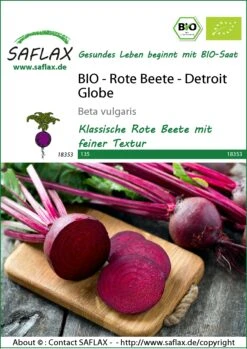 Rote Beete Detroit Globe | BIO Rote Beetesamen Von Saflax