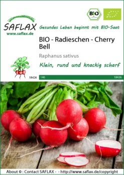 Radieschen Cherry Bell | BIO Radieschensamen Von Saflax
