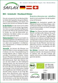 Grünkohl Westland Winter | BIO Grünkohlsamen Von Saflax