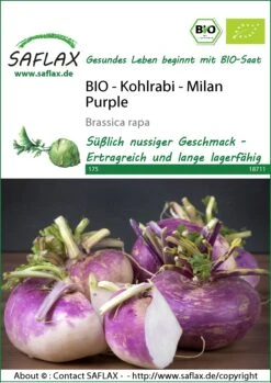 Kohlrabi Milan Purple | BIO Kohlrabisamen Von Saflax