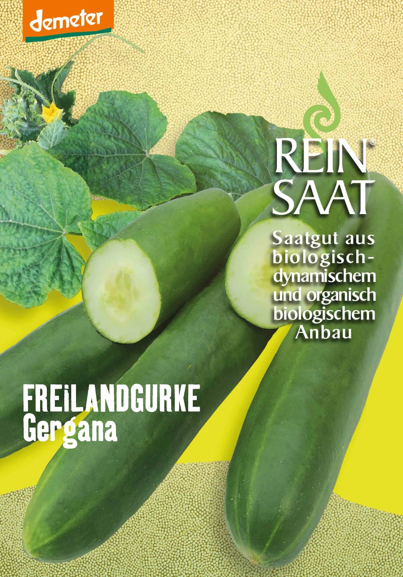 Freilandgurke Gergana | BIO Freilandgurkensamen Von Reinsaat 1 Freilandgurke Gergana | BIO Freilandgurkensamen Von Reinsaat