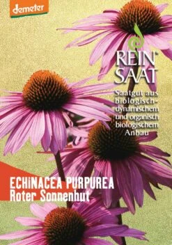 Roter Sonnenhut | BIO Sonnenhutsamen Von Reinsaat