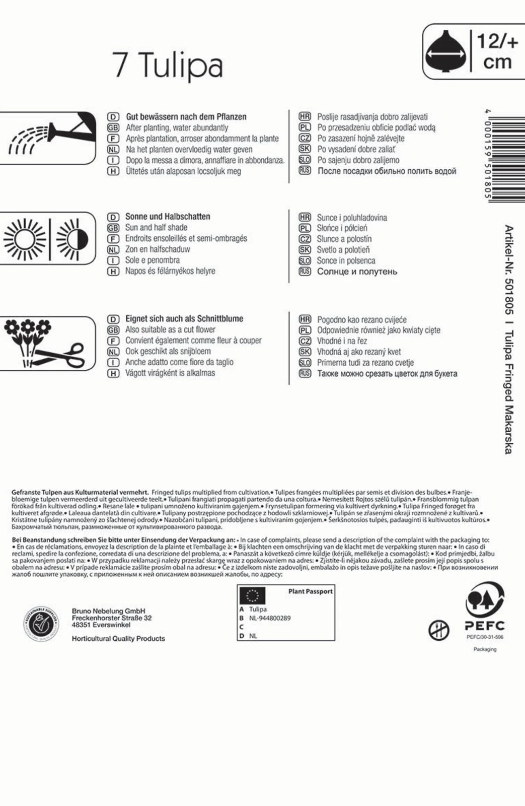 Gefranste Tulpe Makarska (7 Stück) | Tulpenzwiebeln Von Kiepenkerl 2 Gefranste Tulpe Makarska (7 Stück) | Tulpenzwiebeln Von Kiepenkerl – Bild 2