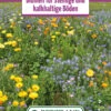 Blumenwiese Blumen Für Steinige Und Kalkhaltige Böden (100 G) | Blumensamen Von Bertrand