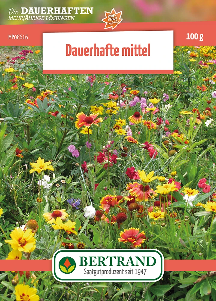 Blumenwiese Mehrjährige Halbhohe Stauden (100 G) | Blumensamen Von Bertrand 1 Blumenwiese Mehrjährige Halbhohe Stauden (100 G) | Blumensamen Von Bertrand