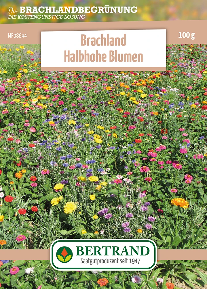 Blumenwiese Brachland Halbhohe Blumen (100 G) | Blumensamen Von Bertrand 1 Blumenwiese Brachland Halbhohe Blumen (100 G) | Blumensamen Von Bertrand