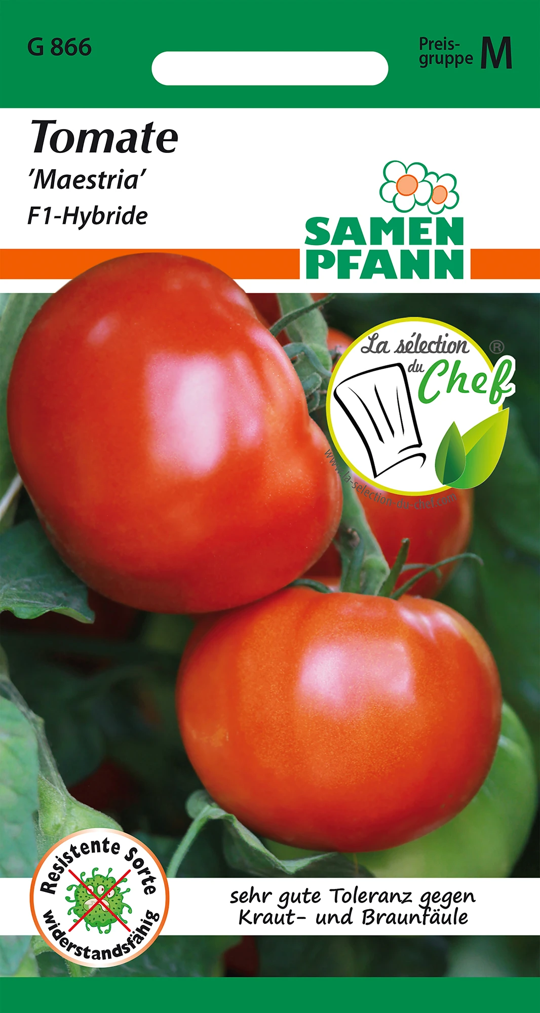 Tomate Maestria F1-Hybride | Tomatensamen Von Samen Pfann 2 Tomate Maestria F1-Hybride | Tomatensamen Von Samen Pfann – Bild 2