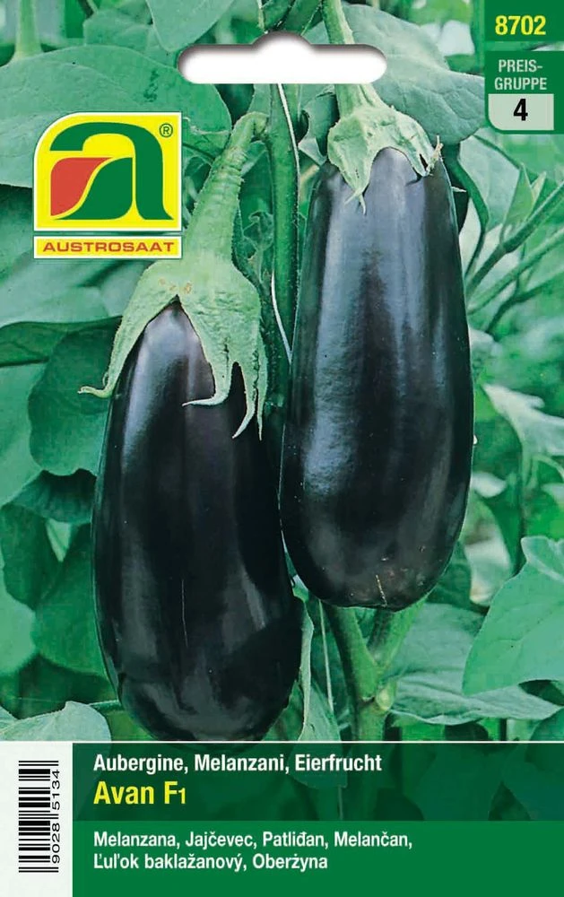 Aubergine Teti F1 | Auberginensamen Von Austrosaat 1 Aubergine Teti F1 | Auberginensamen Von Austrosaat