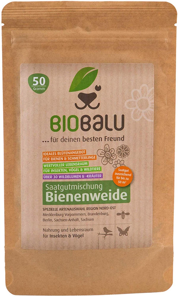 Bienenweide Region Nord-Ost (mehrjährig, 50 G) | Bienenwiese Von Biobalu 3 Bienenweide Region Nord-Ost (mehrjährig, 50 G) | Bienenwiese Von Biobalu – Bild 3