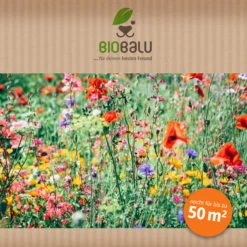 Bienenweide Region Nord-West (mehrjährig, 50 G) | Bienenwiese Von Biobalu 7 Bienenweide Region Nord-West (mehrjährig, 50 G) | Bienenwiese Von Biobalu -Angebote Pegasus Store 543483 Bienenweide Region Nord West mehrjaehrig 50 g 3