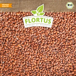 Bio-Kresse (200 G) | Bio-Kressesamen Von Flortus 10 Bio-Kresse (200 G) | Bio-Kressesamen Von Flortus -Angebote Pegasus Store 543636 Bio Kresse 200 g 4