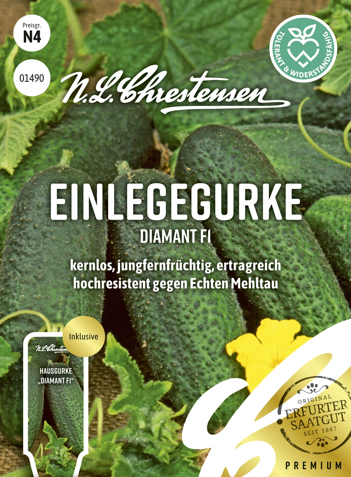 Einlegegurke Diamant F1 | Einlegegurkensamen Von N.L. Chrestensen 2 Einlegegurke Diamant F1 | Einlegegurkensamen Von N.L. Chrestensen – Bild 2