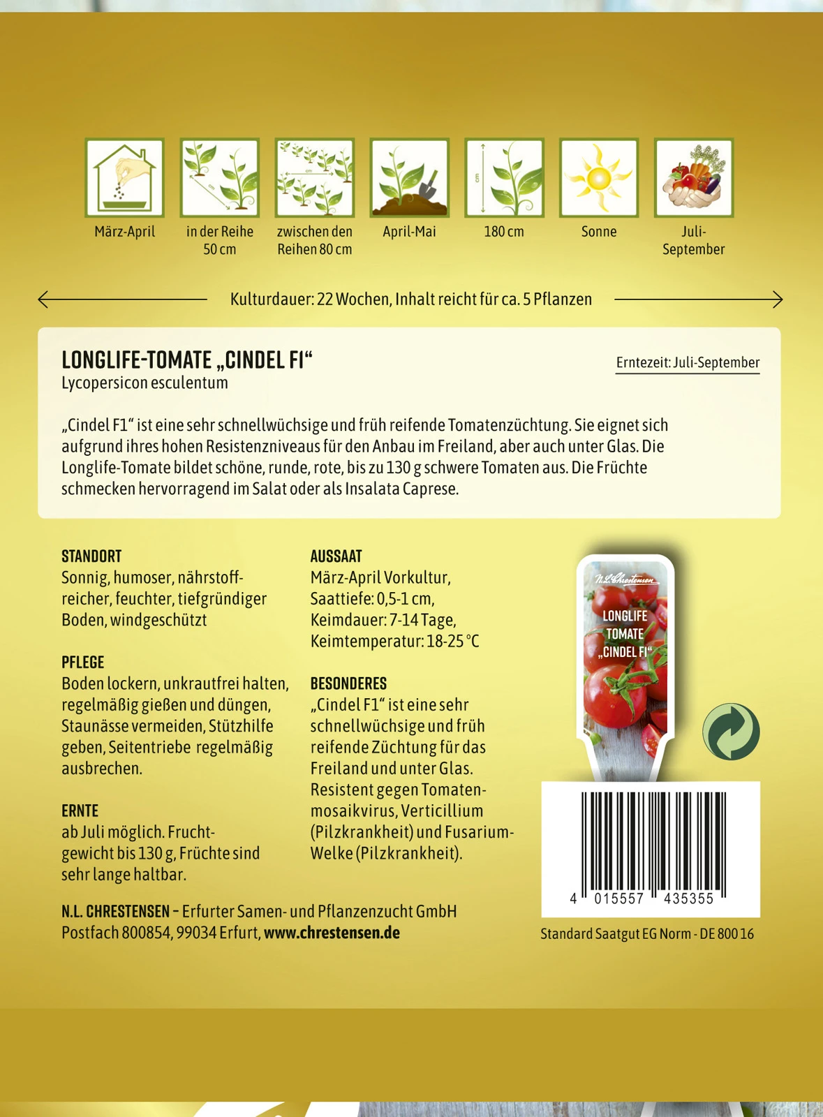 Longlife - Tomate Cindel F1 | Tomatensamen Von N.L. Chrestensen 2 Longlife - Tomate Cindel F1 | Tomatensamen Von N.L. Chrestensen – Bild 2