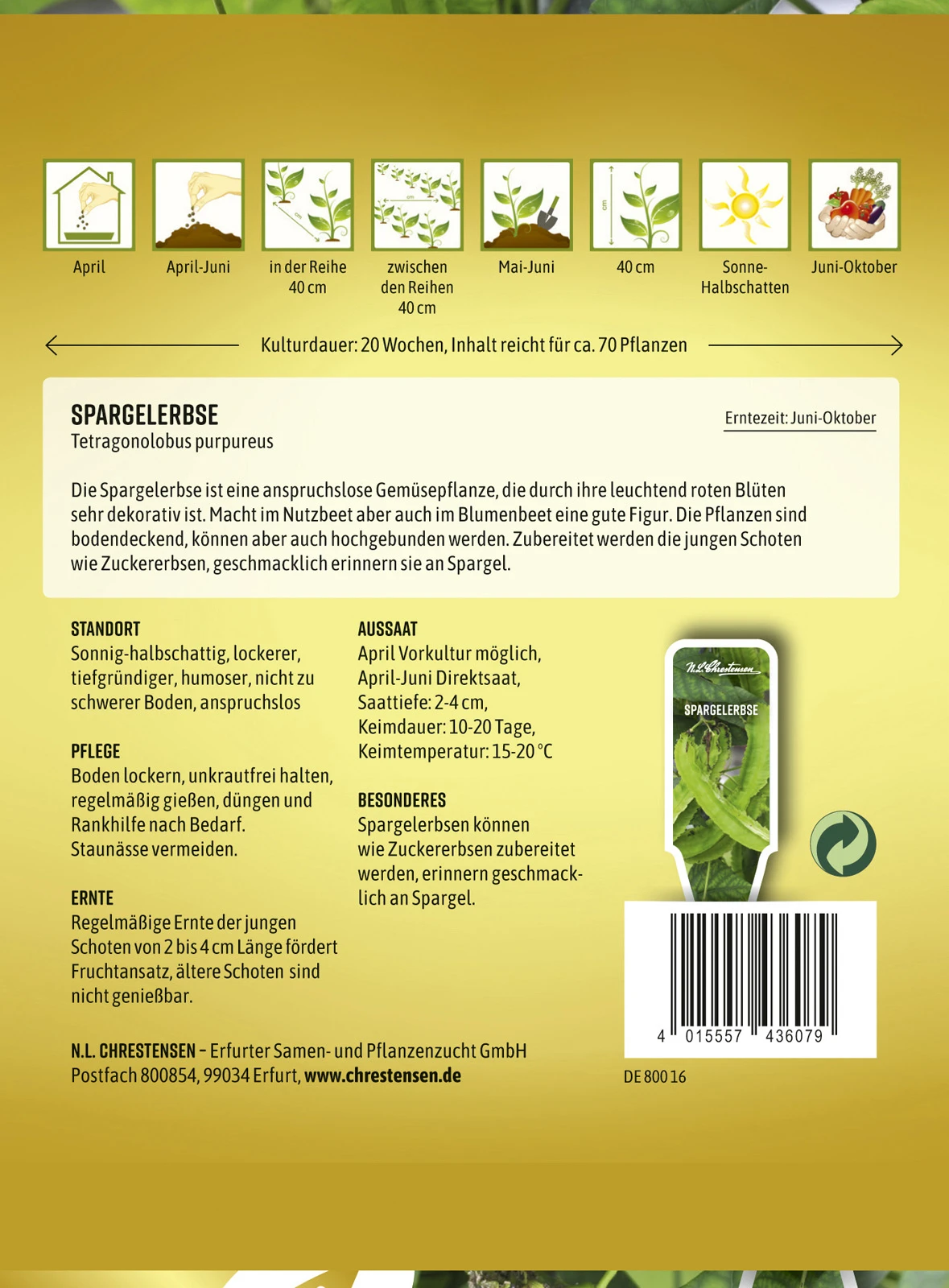 Spargelerbse | Erbsensamen Von N.L. Chrestensen 2 Spargelerbse | Erbsensamen Von N.L. Chrestensen – Bild 2