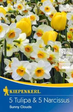 Tulpen-Narzissen-Mischung Sunny Clouds (10 Stück) | Tulpenzwiebeln Von Kiepenkerl