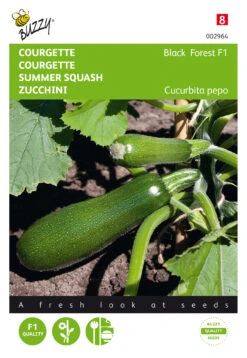 Zucchini Black Forest F1 | Zucchinisamen Von Buzzy Seeds [MHD 07/2024]