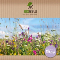 Bienenweide Halbschatten- Und Schattenbereich (50 G) | Bienenwiese Von Biobalu -Angebote Pegasus Store 546069 Bienenweide Halbschatten und Schattenbereich 50 g 2