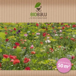 Saatgutmischung Sommerzauber (30 G) | Bienenwiese Von Biobalu -Angebote Pegasus Store 547420 Saatgutmischung Sommerzauber 30 g 1