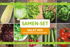 Samen-Set Salat Mix Mit 10 Sorten | Salatsamen Von Samenhaus [MHD 01/2022]