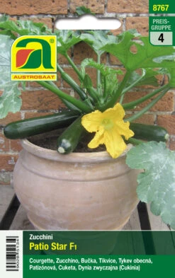 Topf-Zucchini Patio Star F1 | Zucchinisamen Von Austrosaat