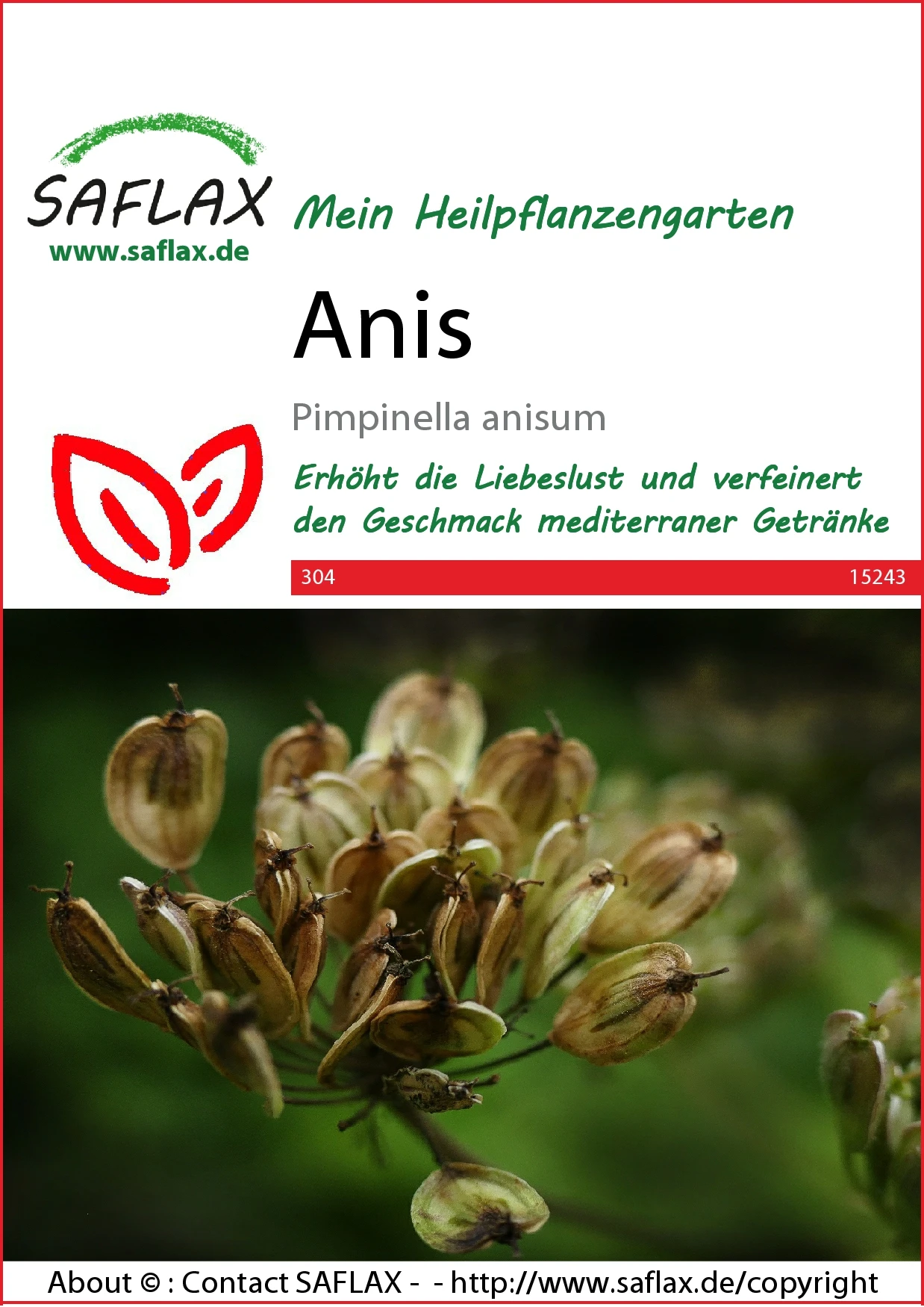 Anis | Anissamen Von Saflax 1 Anis | Anissamen Von Saflax