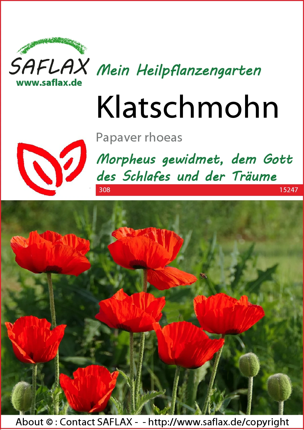 Klatschmohn | Mohnsamen Von Saflax 1 Klatschmohn | Mohnsamen Von Saflax