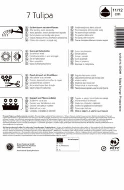 Triumphtulpe Prinses Irene (7 Stück) | Tulpenzwiebeln Von Kiepenkerl