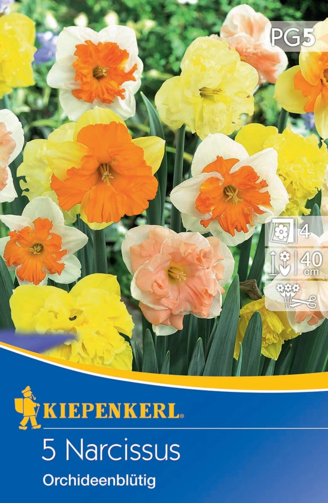 Narzissenmischung Orchideenblütige Mischung (5 Stück) | Narzissenzwiebeln Von Kiepenkerl 1 Narzissenmischung Orchideenblütige Mischung (5 Stück) | Narzissenzwiebeln Von Kiepenkerl