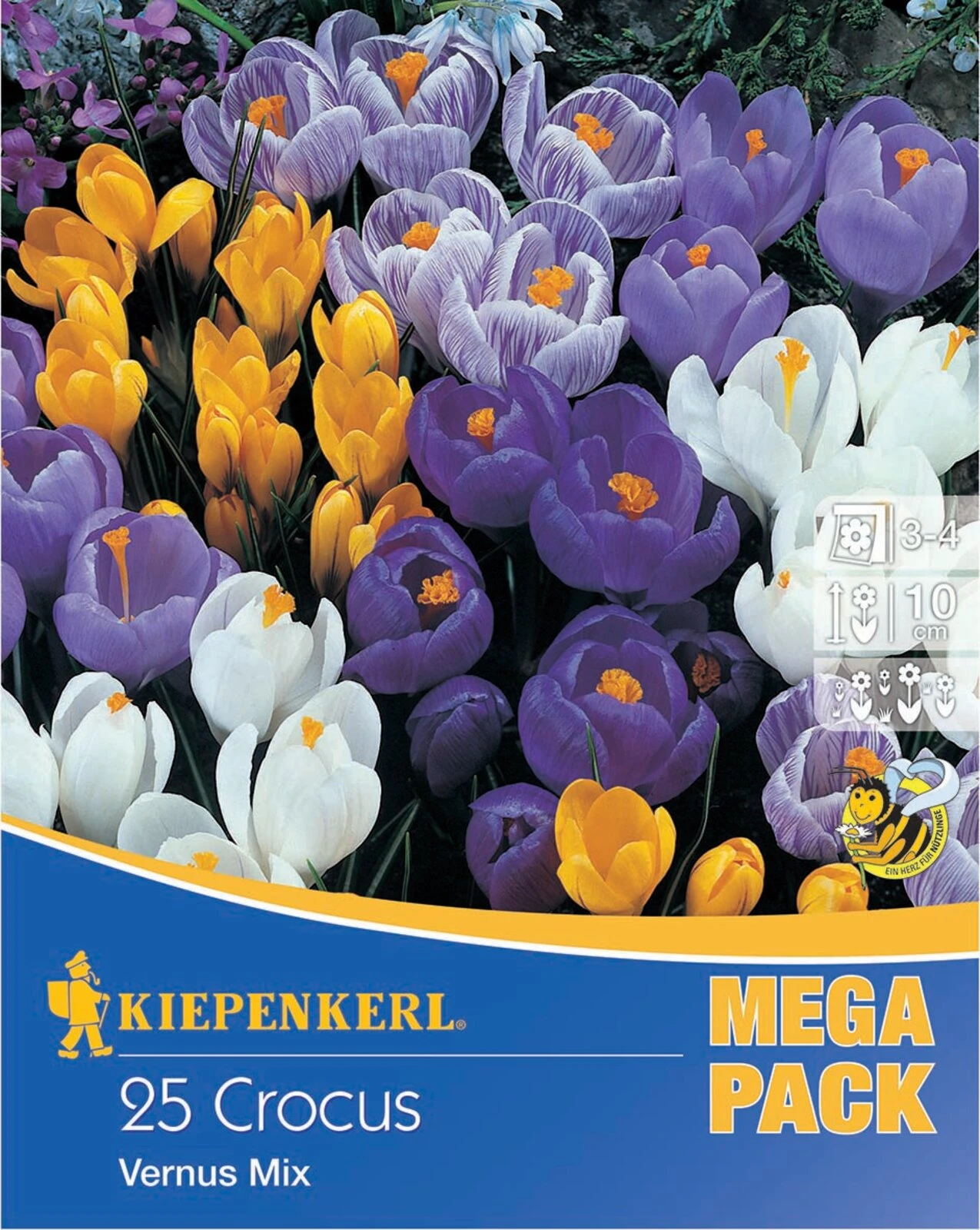 Mega-Pack Gartenkrokusmischung (25 Stück) | Krokuszwiebeln Von Kiepenkerl 1 Mega-Pack Gartenkrokusmischung (25 Stück) | Krokuszwiebeln Von Kiepenkerl