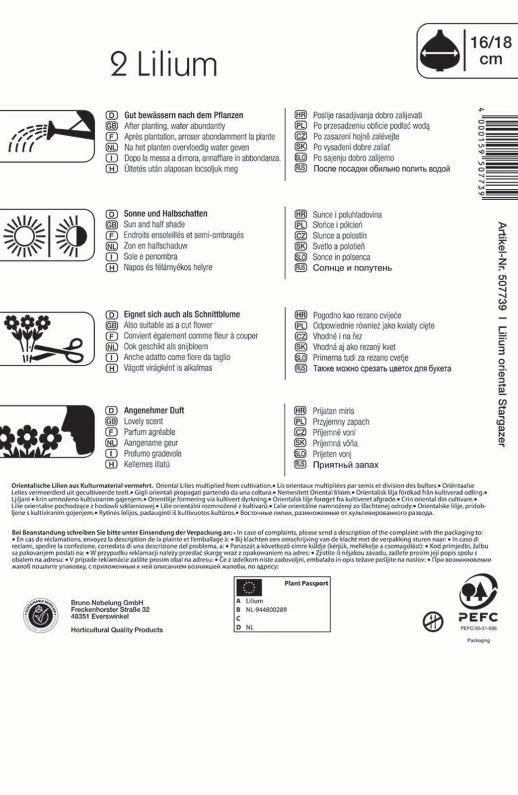 Oriental-Lilie Stargazer (2 Stück) | Lilienzwiebeln Von Kiepenkerl 1 Oriental-Lilie Stargazer (2 Stück) | Lilienzwiebeln Von Kiepenkerl